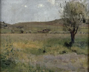 Sommerlandschaft